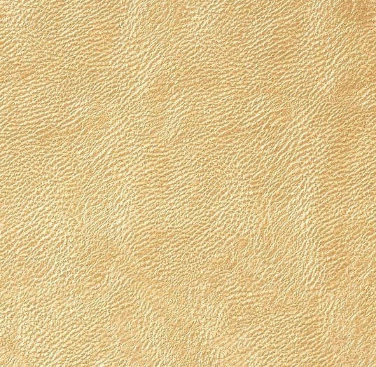 Clear/Gold GameDay purse